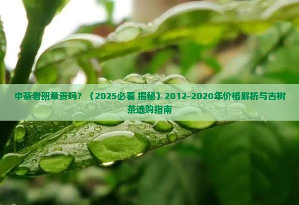 中茶老班章贵吗