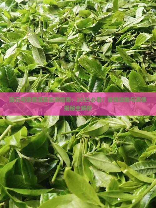 瑞元号熟普洱茶