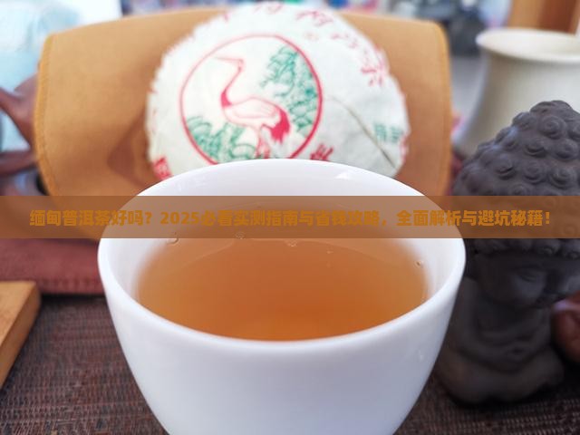 缅甸普洱茶好吗