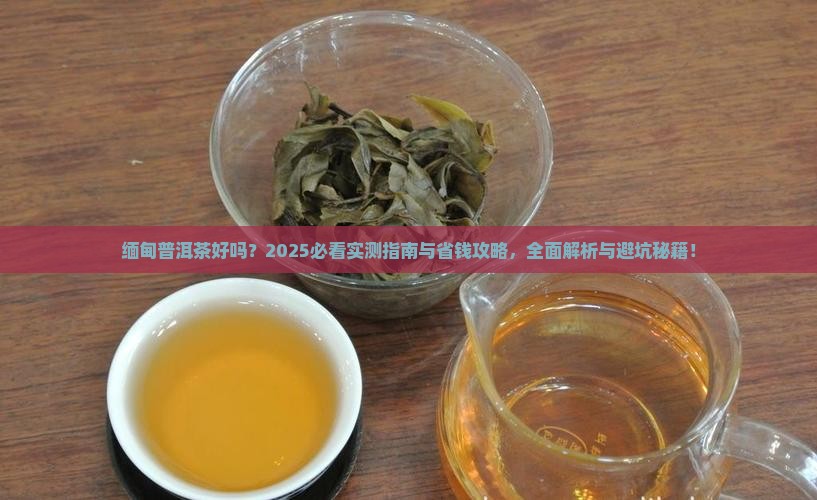 缅甸普洱茶好吗