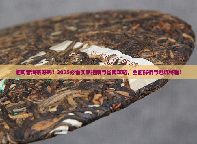 缅甸普洱茶好吗