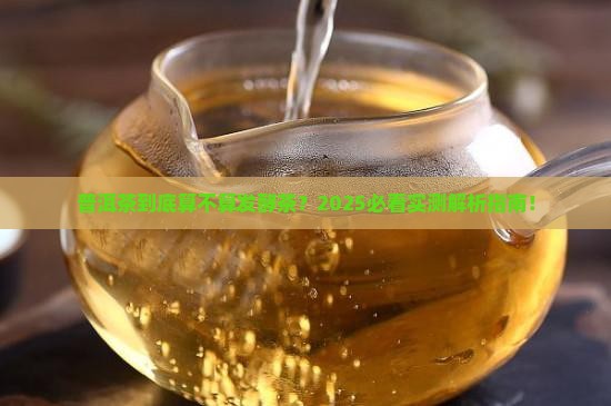 普洱茶是属于发酵的茶吗