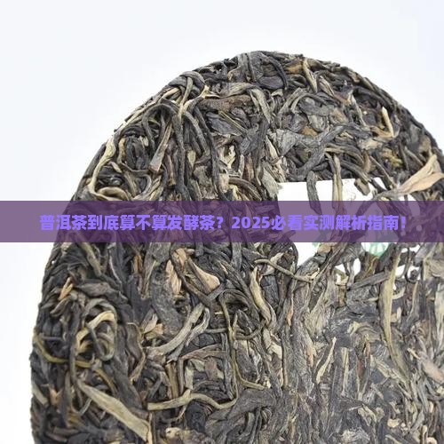 普洱茶是属于发酵的茶吗