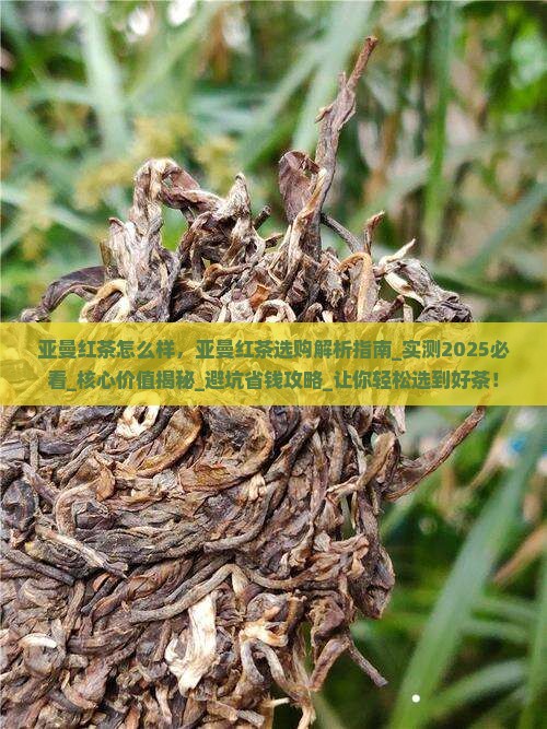 亚曼红茶怎么样