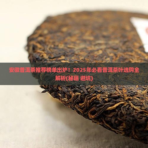 安徽可靠的普洱茶