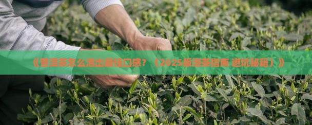 普洱茶怎么才能泡好茶水