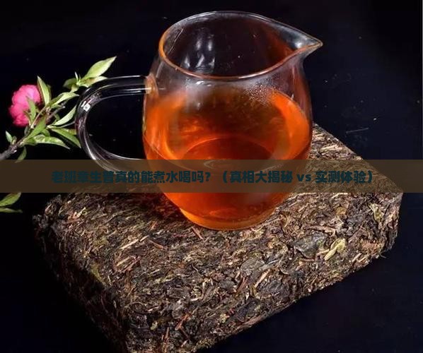 老班章生普能煮水喝吗
