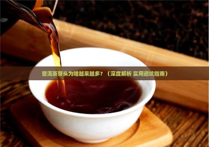 普洱茶芽头越来越多