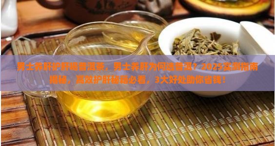 男士养肝护肝喝普洱茶