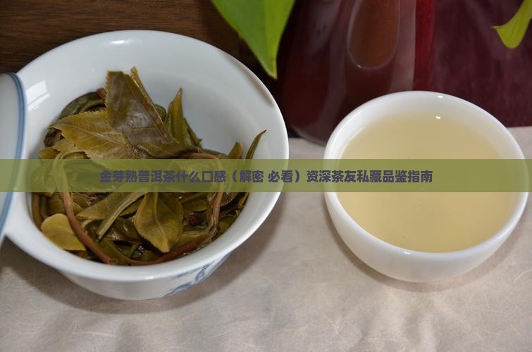 金芽熟普洱茶什么口感