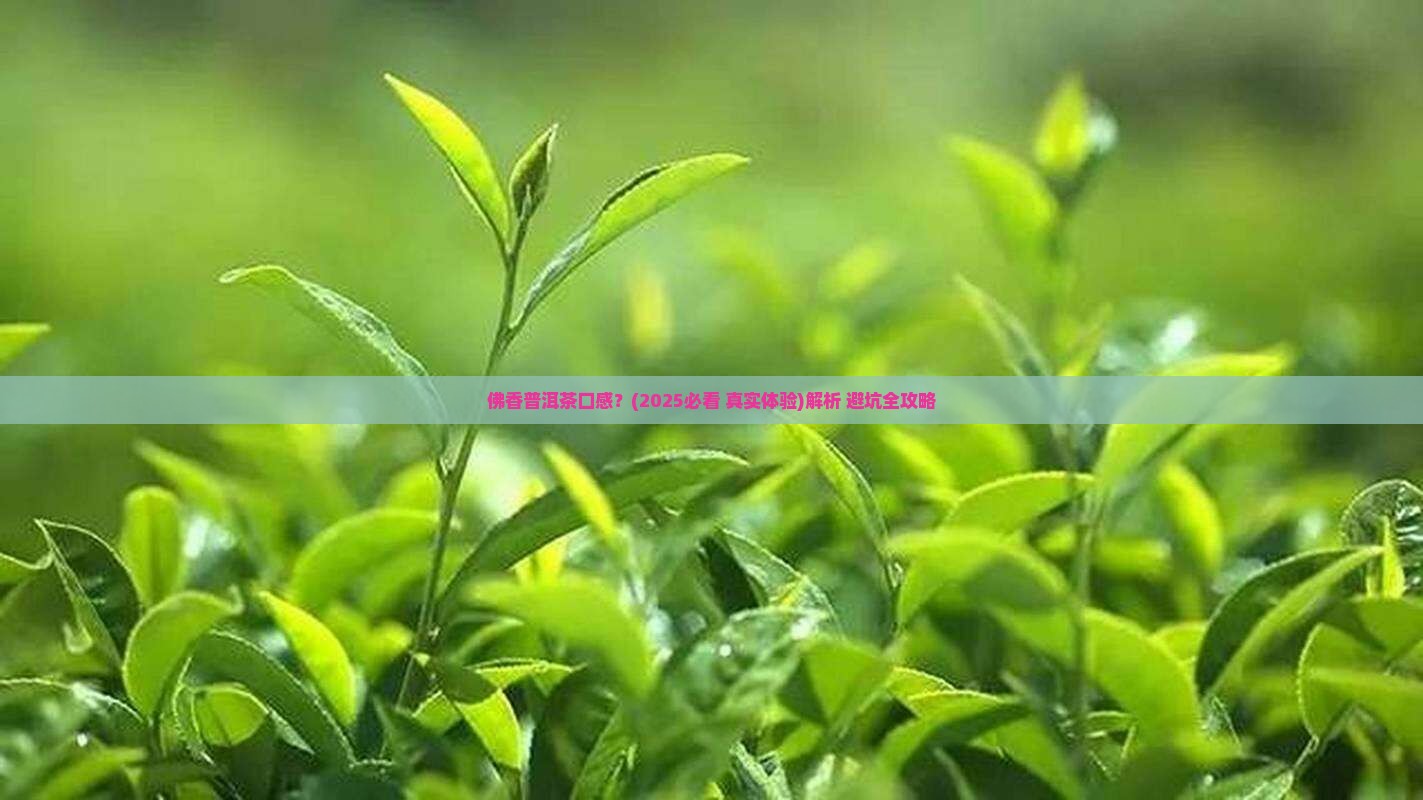 佛香普洱茶口感