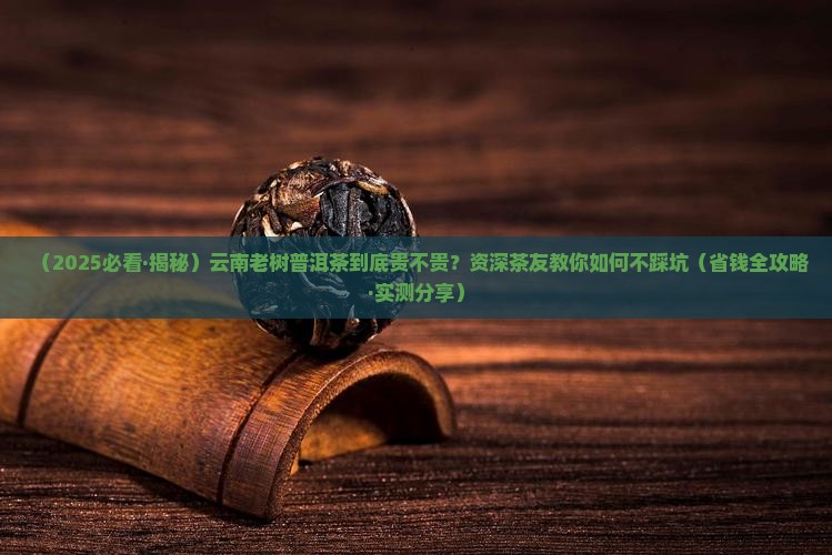 云南老树普洱茶多少钱一斤