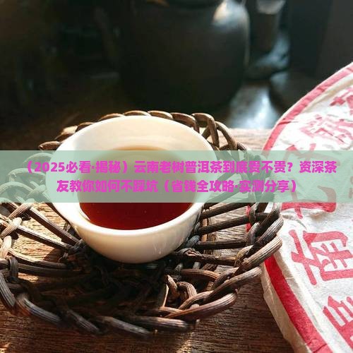 云南老树普洱茶多少钱一斤