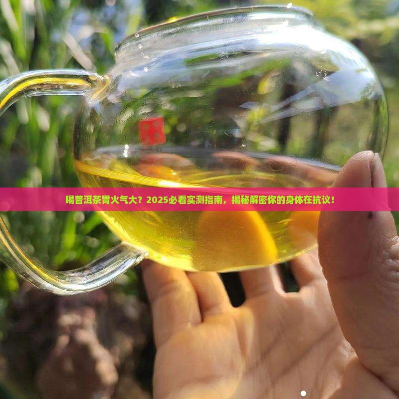 喝普洱茶胃火气大怎么回事