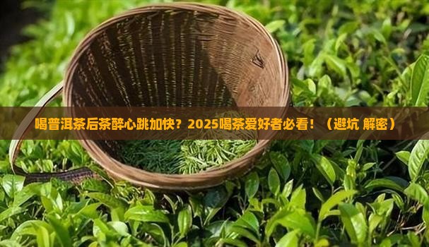 喝普洱茶后茶醉心跳快