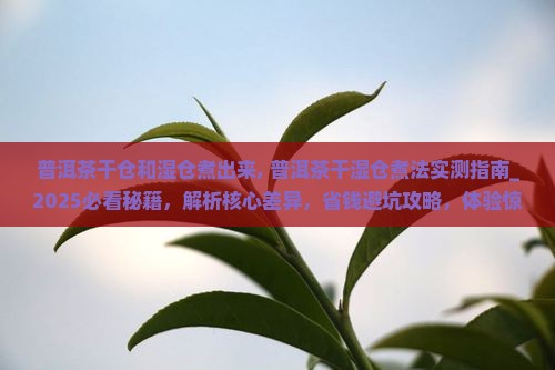 普洱茶干仓和湿仓煮出来 普洱茶干仓和湿仓煮出来