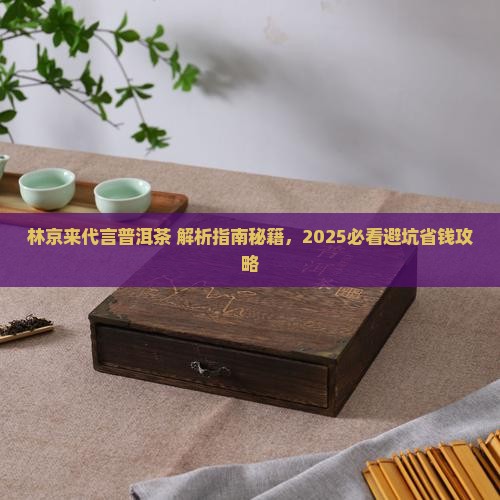 林京来代言普洱茶