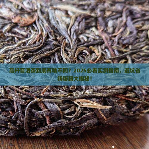 高杆普洱茶的区别