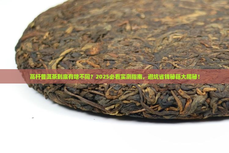 高杆普洱茶的区别