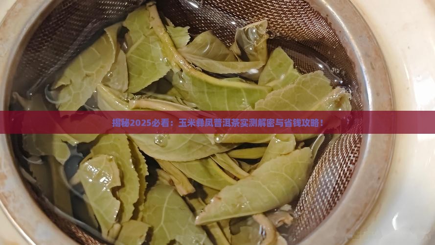玉米彝凤普洱茶