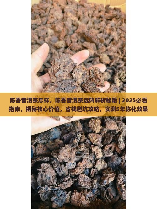 陈香普洱茶怎样 陈香普洱茶怎样