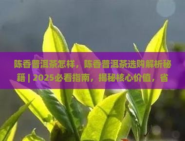 陈香普洱茶怎样 陈香普洱茶怎样