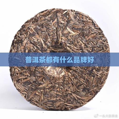 普洱茶都有什么品牌好