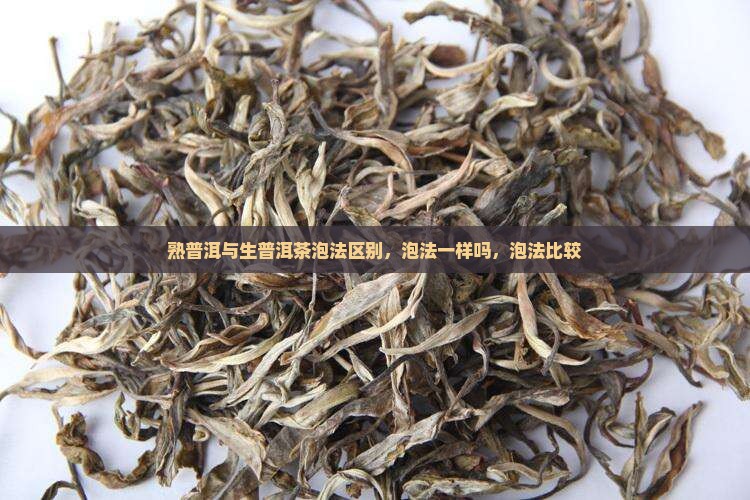 熟普洱与生普洱茶泡法