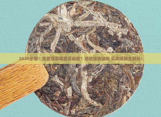 生普洱茶哪里比较好