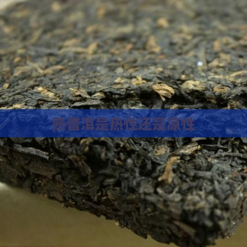 熟普洱是热性还是凉性