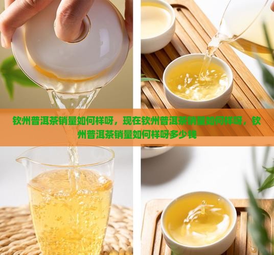 钦州普洱茶销量如何样呀