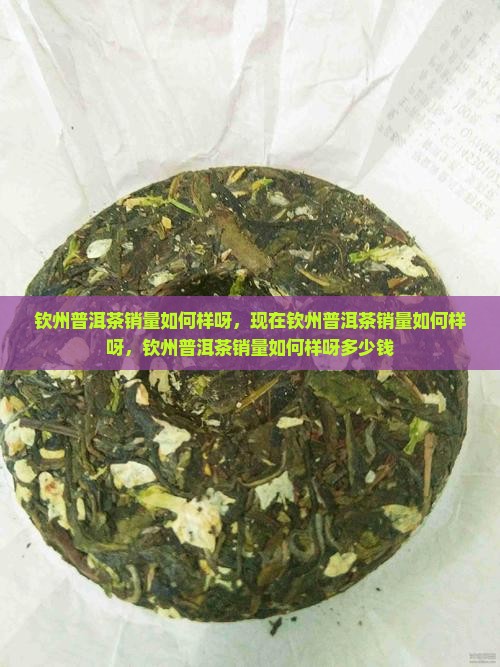 钦州普洱茶销量如何样呀