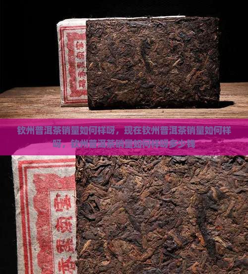 钦州普洱茶销量如何样呀