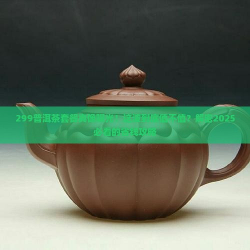 299普洱茶套餐