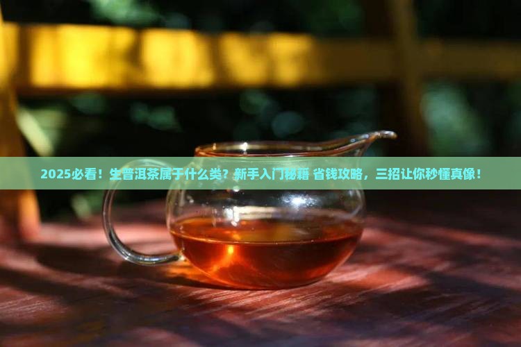 生普洱茶属于什么类茶叶