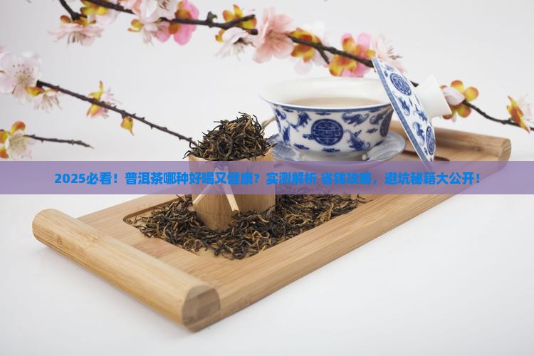 普洱茶哪种好喝又健康