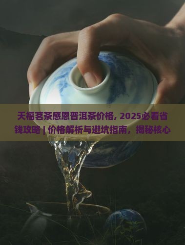 天福茗茶感恩普洱茶价格