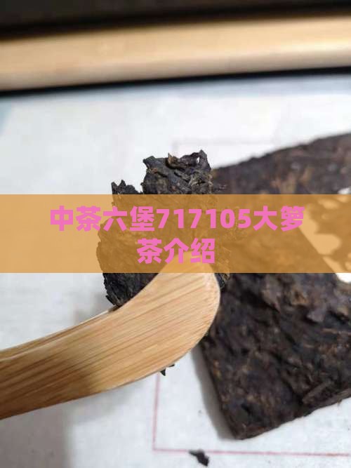 中茶六堡717105大箩茶介绍