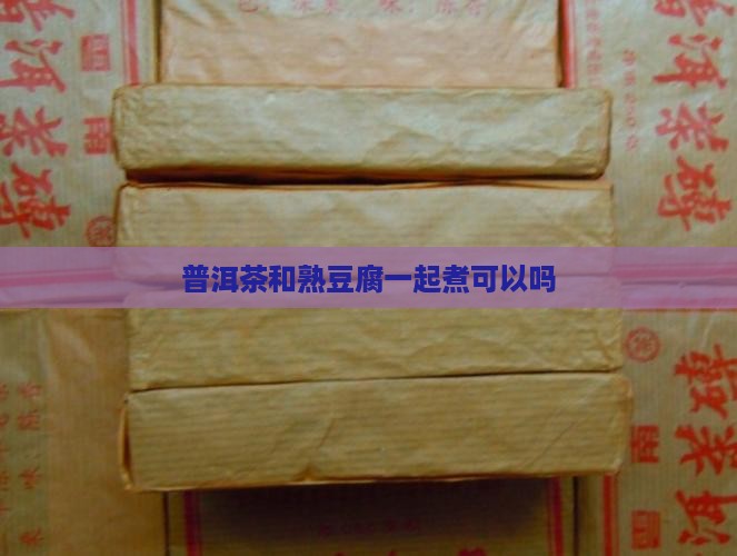 普洱茶和熟豆腐一起煮可以吗