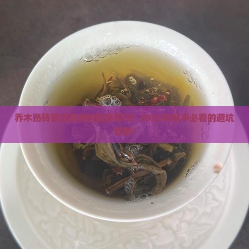 乔木熟砖普洱茶