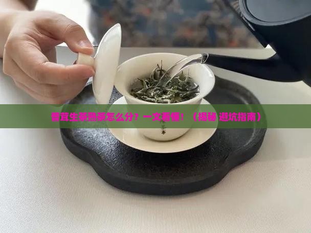 普茸生茶熟茶怎么区分