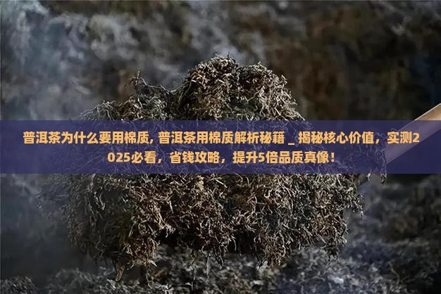 普洱茶为什么要用棉质