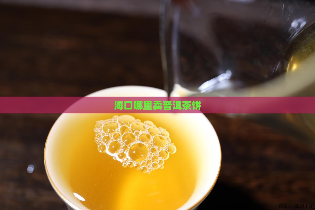 海口哪里卖普洱茶饼
