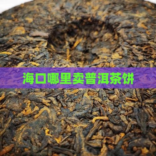 海口哪里卖普洱茶饼