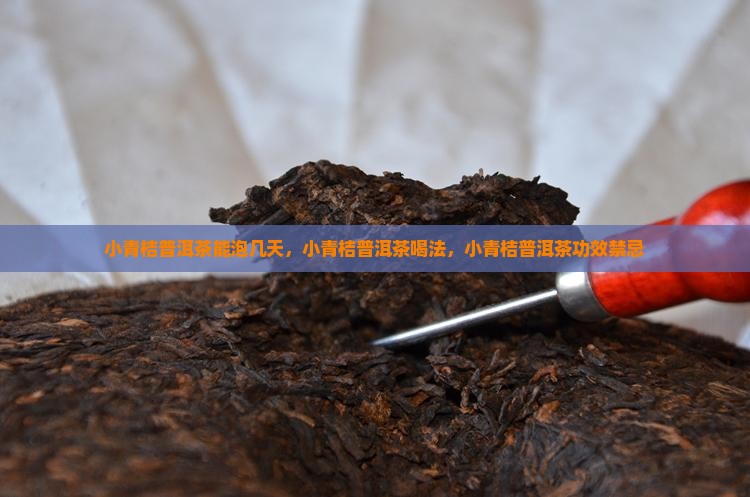 小青桔普洱茶能泡几天