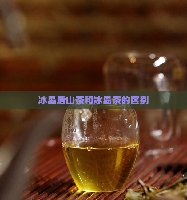 冰岛后山茶和冰岛茶的区别