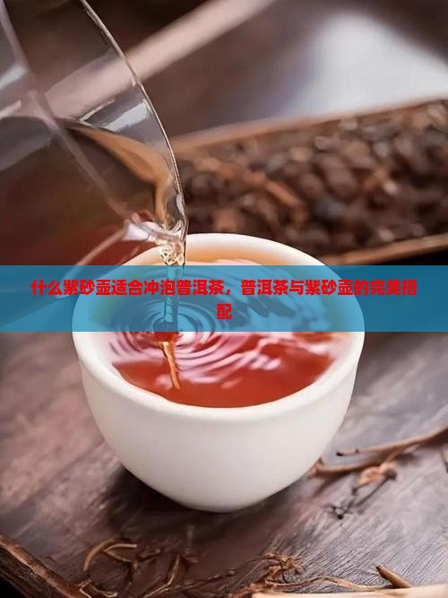 泡熟普洱茶的紫沙壶好吗