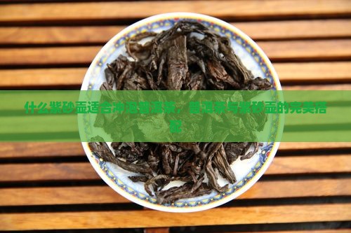 泡熟普洱茶的紫沙壶好吗