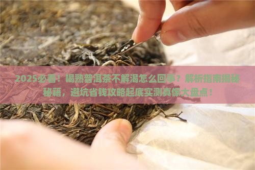 喝熟普洱茶不解渴怎么回事