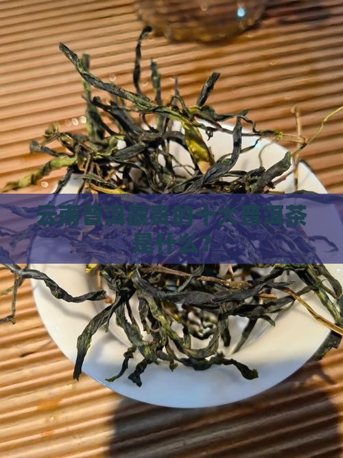 云南普洱最贵的是什么茶